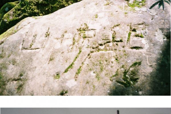 screenshot_10FC6C9ABC-F93D-8B7C-2FBA-219D18B6198F.png