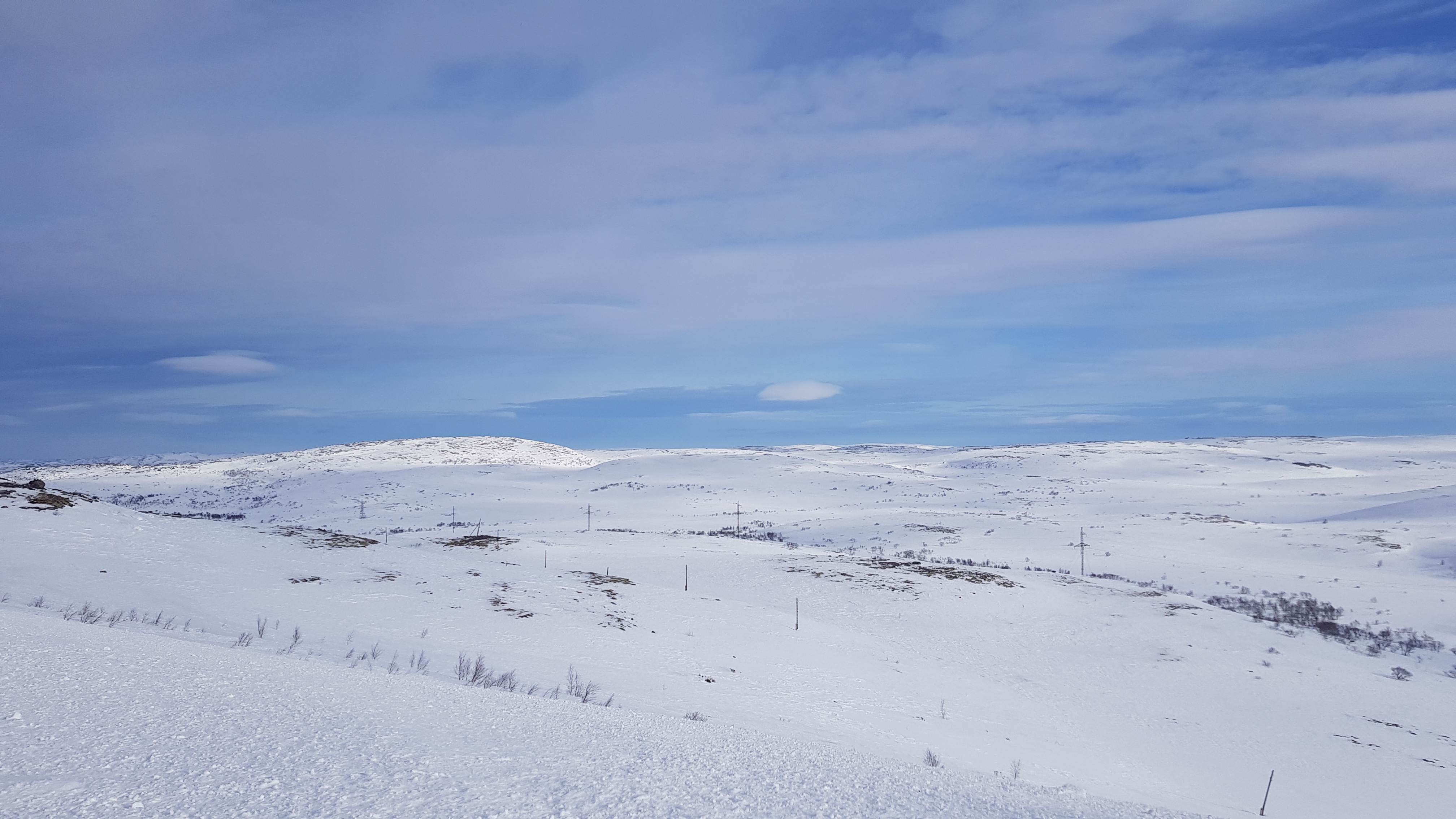 Тундра село Никольское